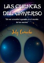 Las cuencas del universo