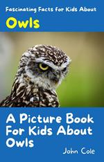 A Picture Book for Kids About Owls