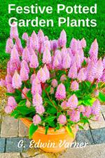 Festive Potted Garden Plants