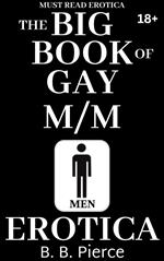 The BIG BOOK of Gay M/M Erotica