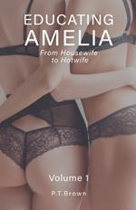 Educating Amelia - From Housewife to Hotwife