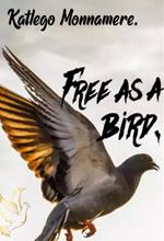 Free as a bird