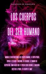 LOS CUERPOS DEL SER HUMANO