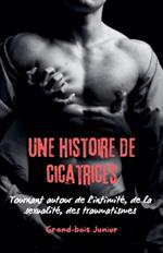 Une histoire de cicatrices