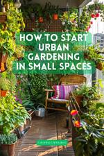 How to Start Urban Gardening in Small Space