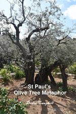 St Paul's Olive Tree Metaphor