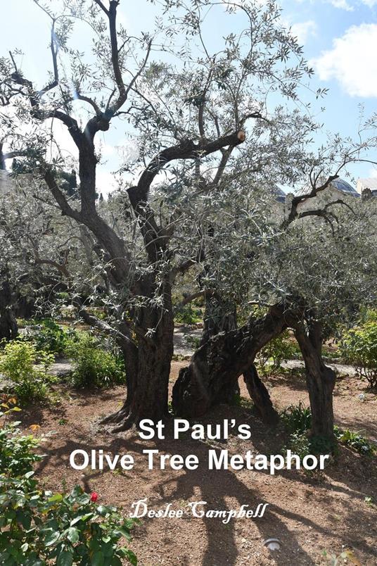 St Paul's Olive Tree Metaphor