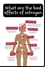 What are the Bad Effects of Estrogen