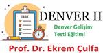 Denver Gelisim Testi Egitimi