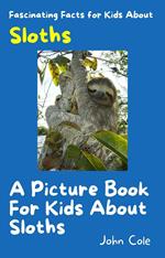 A Picture Book for Kids About Sloths
