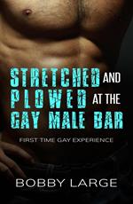 Stretched and Plowed at the Gay Male Bar – First Time Gay Experience
