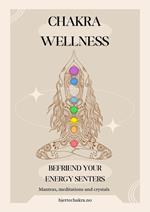 Chakra Wellness Befriend Your Energy Centers