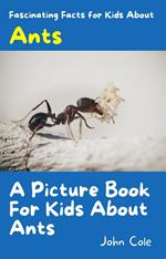 A Picture Book for Kids About Ant