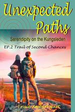 Unexpected Paths: Serendipity on the Kungsleden