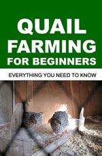 Quail Farming For Beginners: Everything You Need To Know