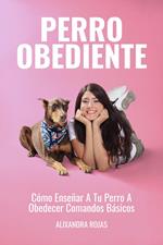 Perro Obediente: Cómo Enseñar A Tu Perro A Obedecer Comandos Básicos