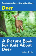 A Picture for Kids About Deer