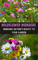 Wildflower Wonders : Bringing Nature’s Beauty to Your Garden