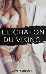 Le chaton du viking