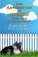 The Adventures Of Stupid The Cat