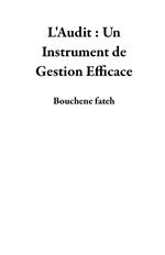 L'Audit : Un Instrument de Gestion Efficace