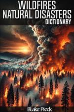 Wildfires Dictionary - Natural Disasters