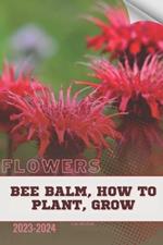 Bee Balm, How To Plant, Grow: Become flowers expert