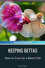 Keeping Bettas: How to Care for a Betta Fish