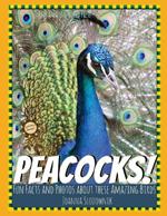 Peacocks! Fun Facts and Photos About These Amazing Birds for Kids