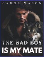 The Bad Boy Is My Mate: An Off-Limits Second Chance Romance