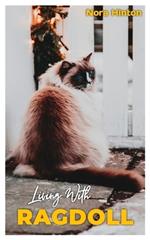 Living with ragdoll: A comprehensive guide on ragdoll pet