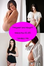Pregnant and Naughty: Novelettes 61-65