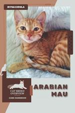 Arabian Mau: Cat breed overview, care handbook