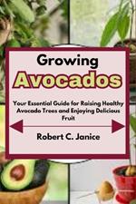 Growing Avocados: Your Essential Guide for Raising Healthy Avocado Trees and Enjoying Delicious Fruit
