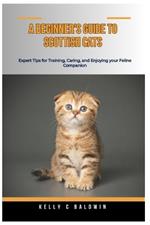 A Beginner's Guide for Scottish Cats: Expert Tips for Training, Caring, and Enjoying your Feline Companion