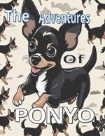 The Adventures Of Ponyo: Ponyo Gets Adopted