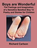 Boys are Wonderful: The Feelings and Imagination of a Sensitive Barefoot Boy 13: Poetry and Stories for Children