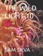 The Wild Light 10