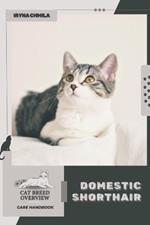 Domestic Shorthair: Cat breed overview, care handbook
