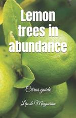 Lemon trees in abundance: Citrus guide