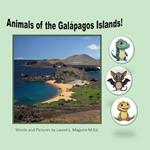 Galapagos Islands Animals!
