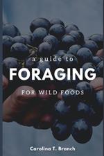 A Guide to Foraging for Wild Foods