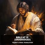 Bible NT 19 (Unabridged)