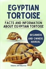 Egyptian Tortoise: Facts And Information About Egyptian Tortoise