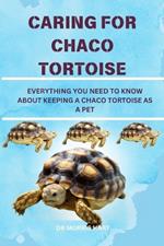 Caring for Chaco Tortoise: Everything You Need to Know about Keeping a Chaco Tortoise as a Pet