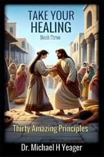 TAKE YOUR HEALING bk 3: Thirty Amazing Principles - Book 3: Principles 22-30