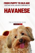 The Havanese Owners Bible: Choosing a puppy, Grooming, Health, Diet, House Training, Socializing, Care In Old Age And More