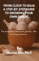 From Clove to Bulb: A STEP-BY-STEP GUIDE TO GROWING YOUR OWN GARLIC: To properly harvest garlic, the curing process.