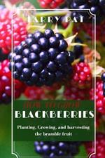 How to Grow Blackberries: Planting, Growing, and harvesting the bramble fruit