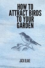 How To Attract Birds To Your Garden